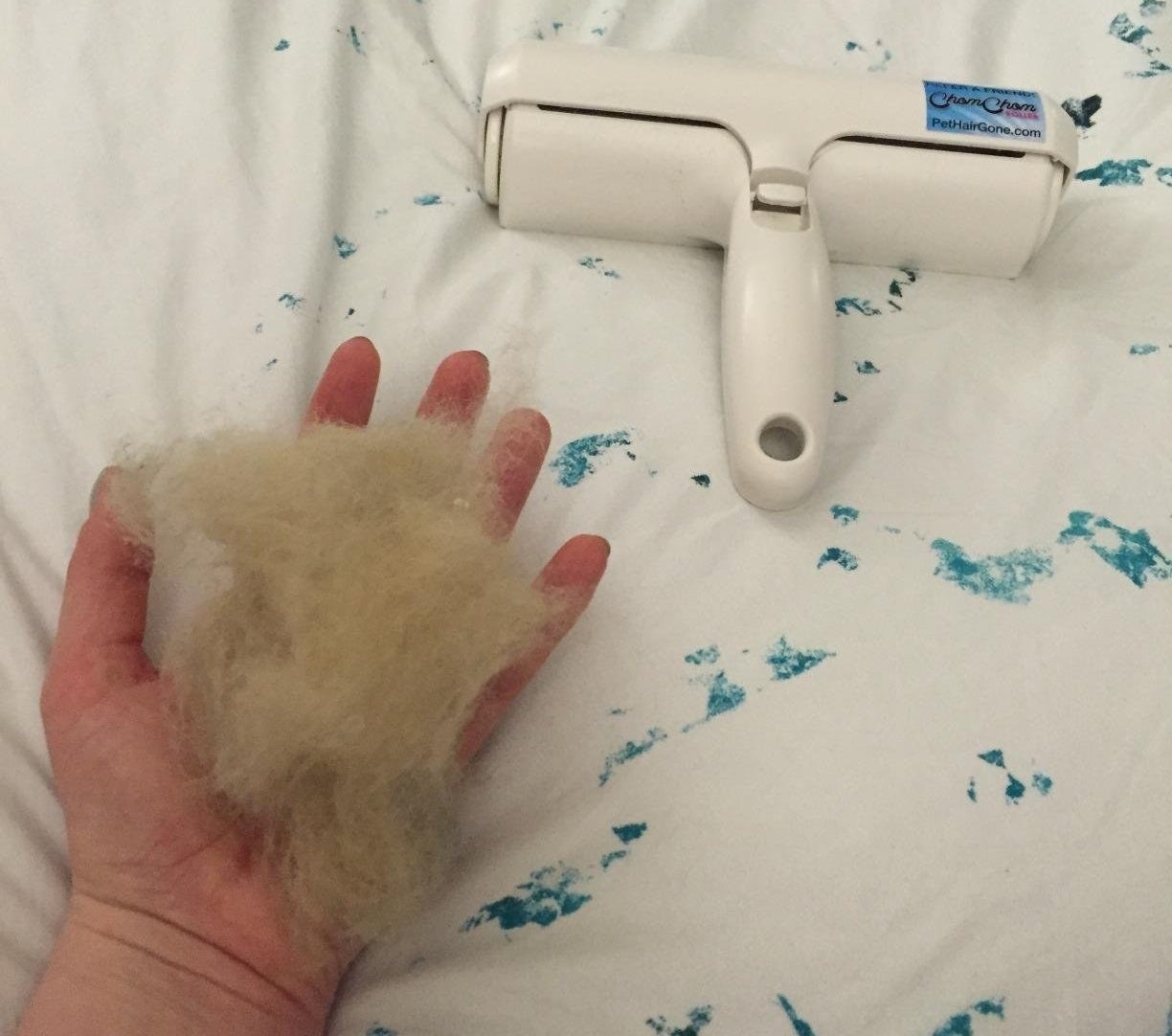 Reviewer&#x27;s photo of the pet hair roller with a ball of hair