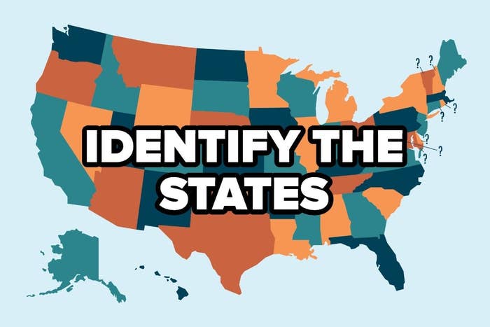 Colorful United States map with the words "Identify the states"