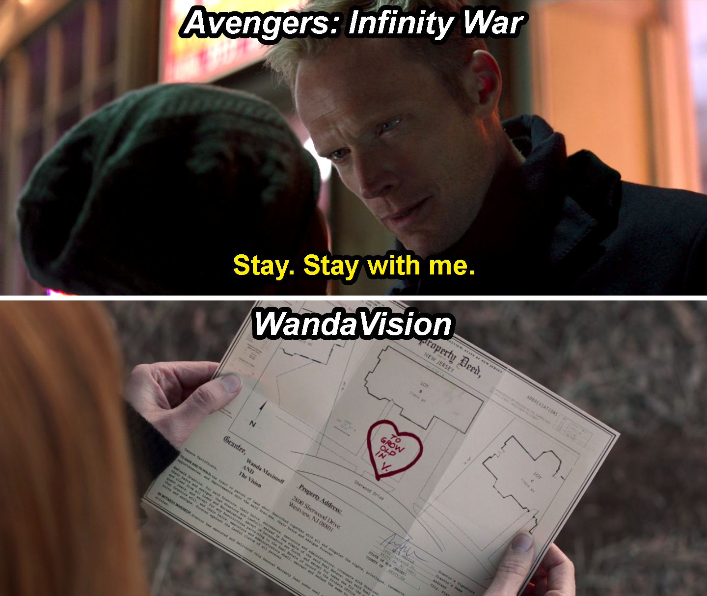 Vision saying, &quot;Stay with me,&quot; in infinity War and the property deed with &quot;To grow old in,&quot; written on it in WandaVision