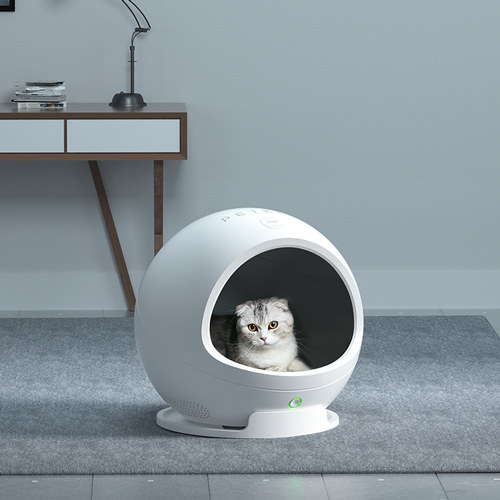 10 Smart Products That Will Really Up Your Pet Parent Game