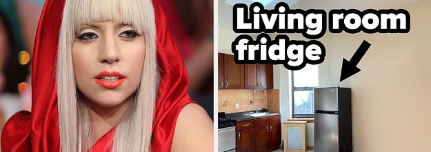 lady gaga and a fridge