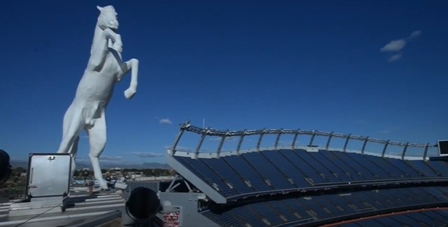 Bucky the Bronco Will Be Back With Denver Broncos at Mile High Stadium