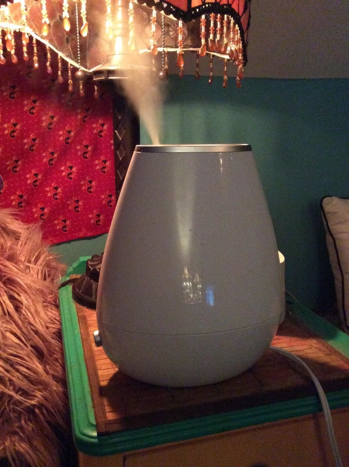 Review photo of the white humidifier