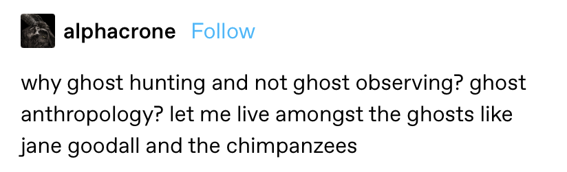 "why ghost hunting and not ghost observing? ghost anthropology? let me live amongst the ghosts like jane goodall and the chimpanzees"