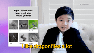 Alan Kim taking a quiz and saying, &quot;I like dragonflies a lot&quot;