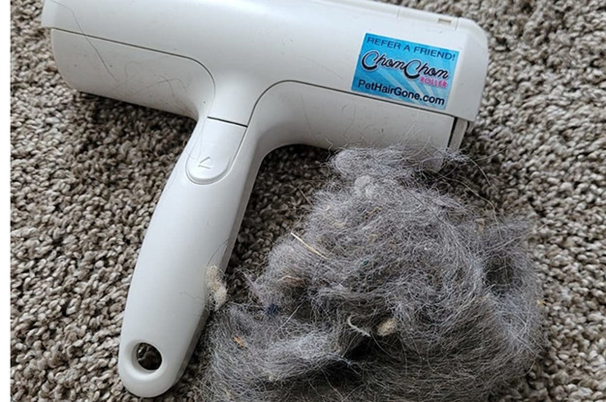  OXO Good Grips Furlifter Pet Garment Brush Hair Remover For  Clothing, White, Garment Brush : Health & Household