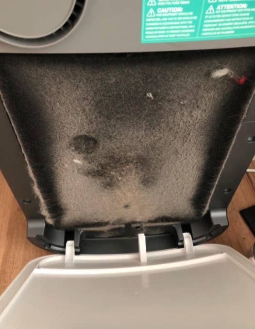 Reviewer&#x27;s picture of the dust-filled air filter