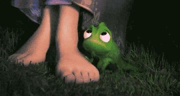 pascal from &quot;tangled&quot; hugging rapunzel&#x27;s feet