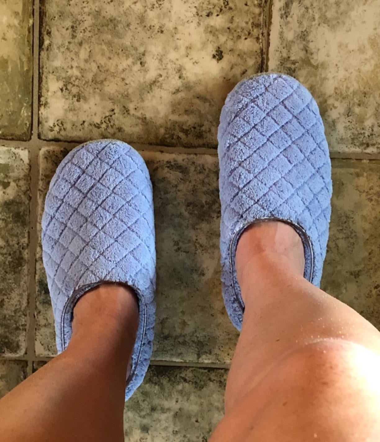 comfiest house shoes