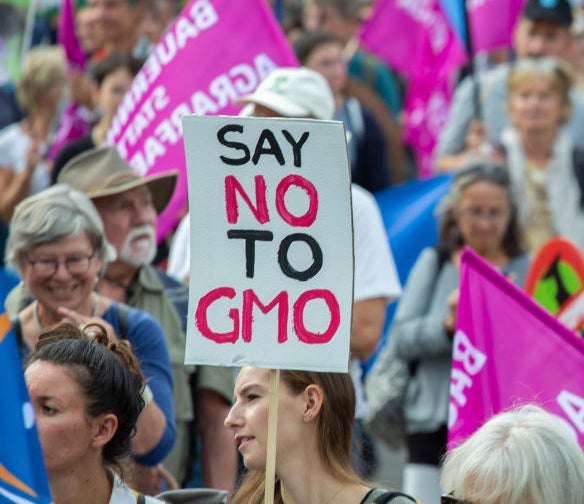 a woman protesting GMOs