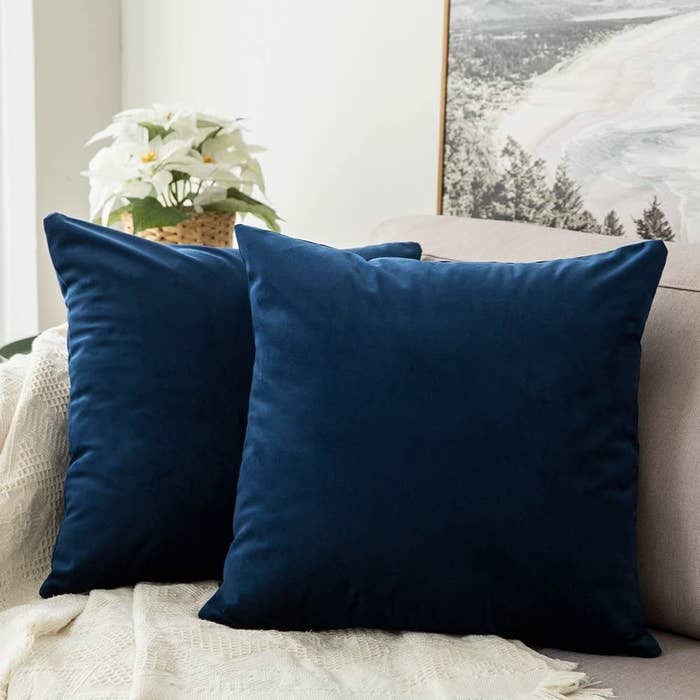 Two blue velvet pillows