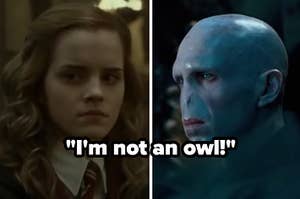 Hermione and Voldemort with the words "I'm not an owl!" 