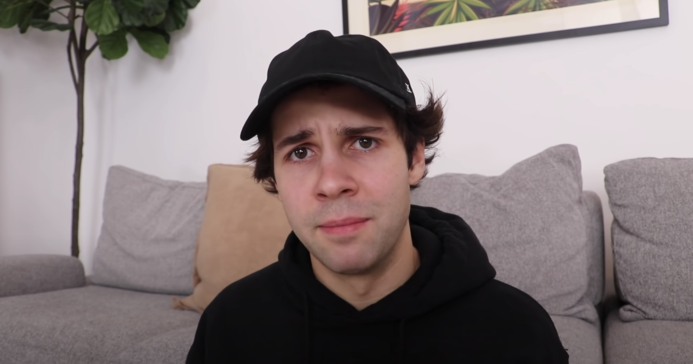 David Dobrik Nudes