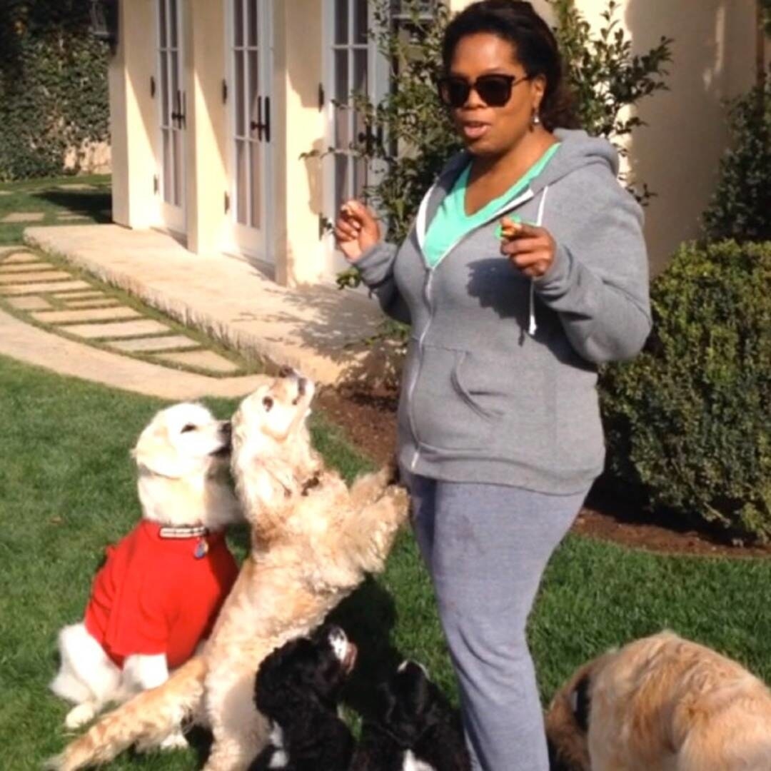 Oprah playing with her dogs on her lawn at home
