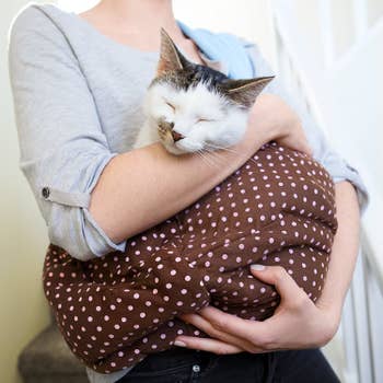 a model holding a cat in a brown and pink polka-dotted sling