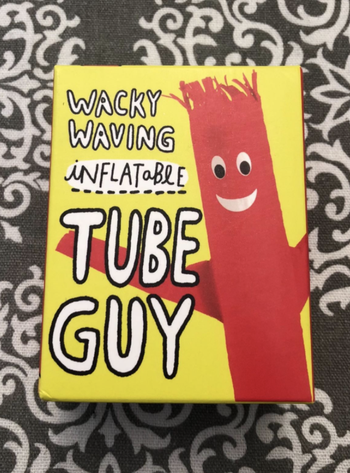 reviewer photo of the wacky waving inflatable tube guy box 