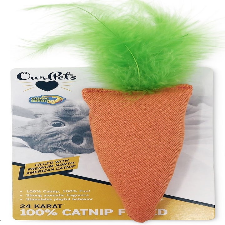 the catnip toy