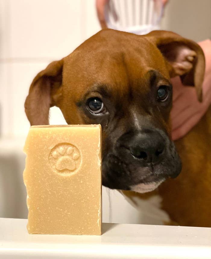 Dog beside natural bar of soap with small paw design 