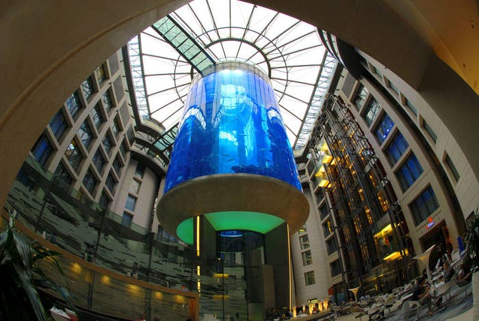 A massive aquarium that several stories high