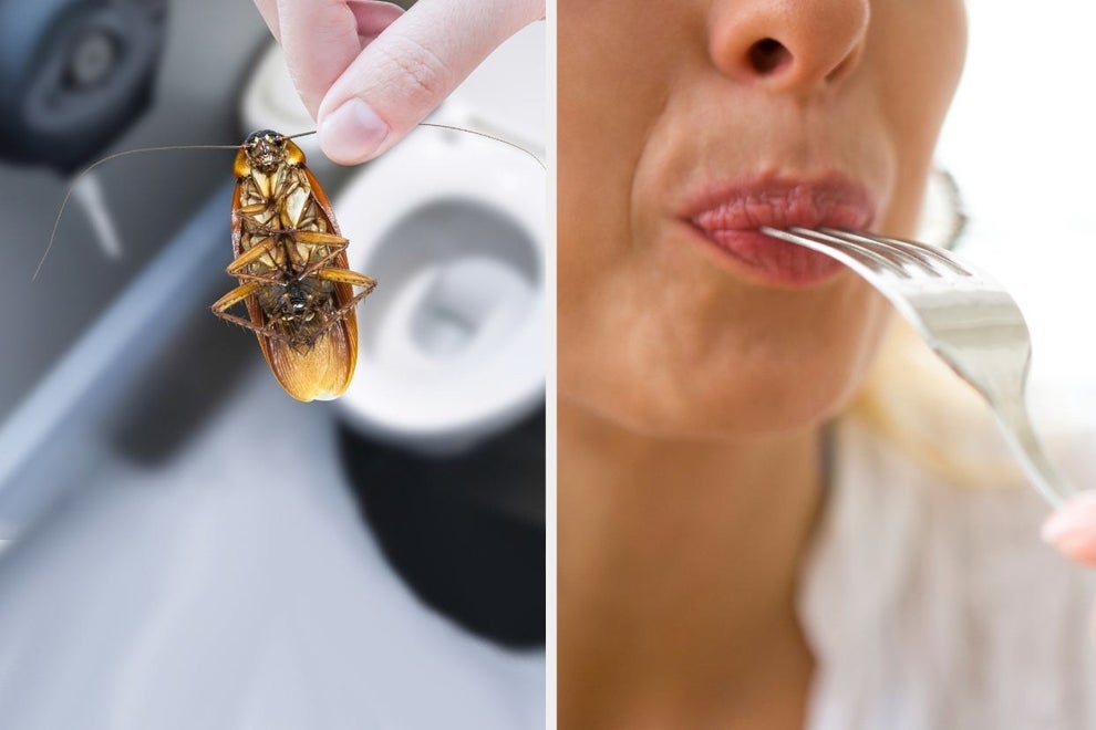 Poop Buzz Quizzes To Take While You Poop