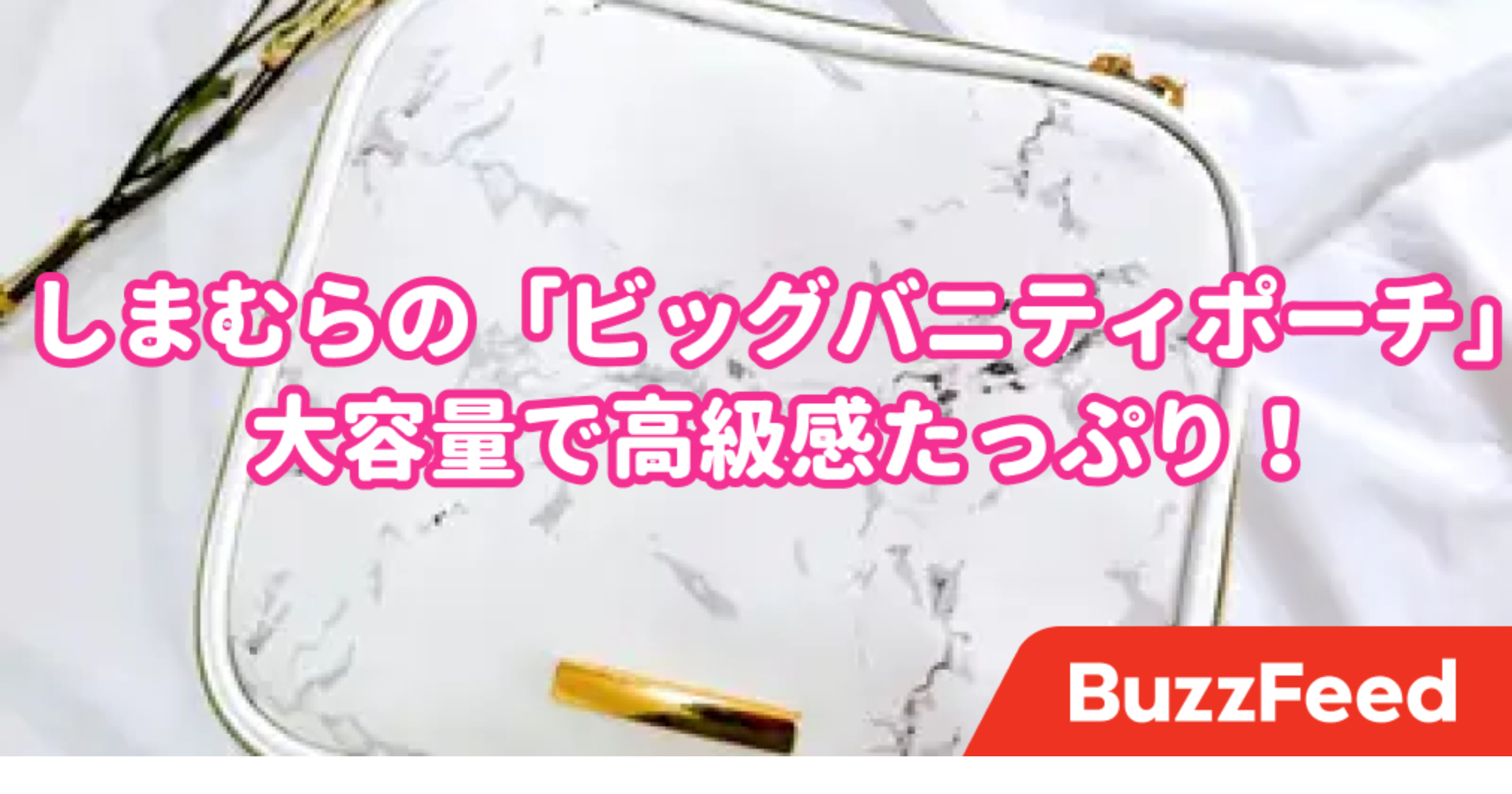 人気になるのも納得 しまむら 990円メイクポーチ の収納力がケタ違いだった