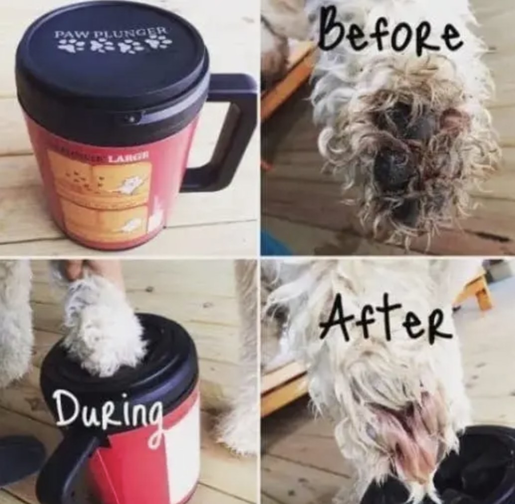 A before and after of a dog&#x27;s dirty paw getting cleaned