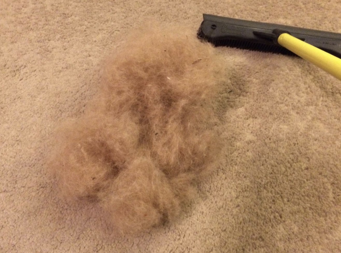 fur collected from a rug next to the broom
