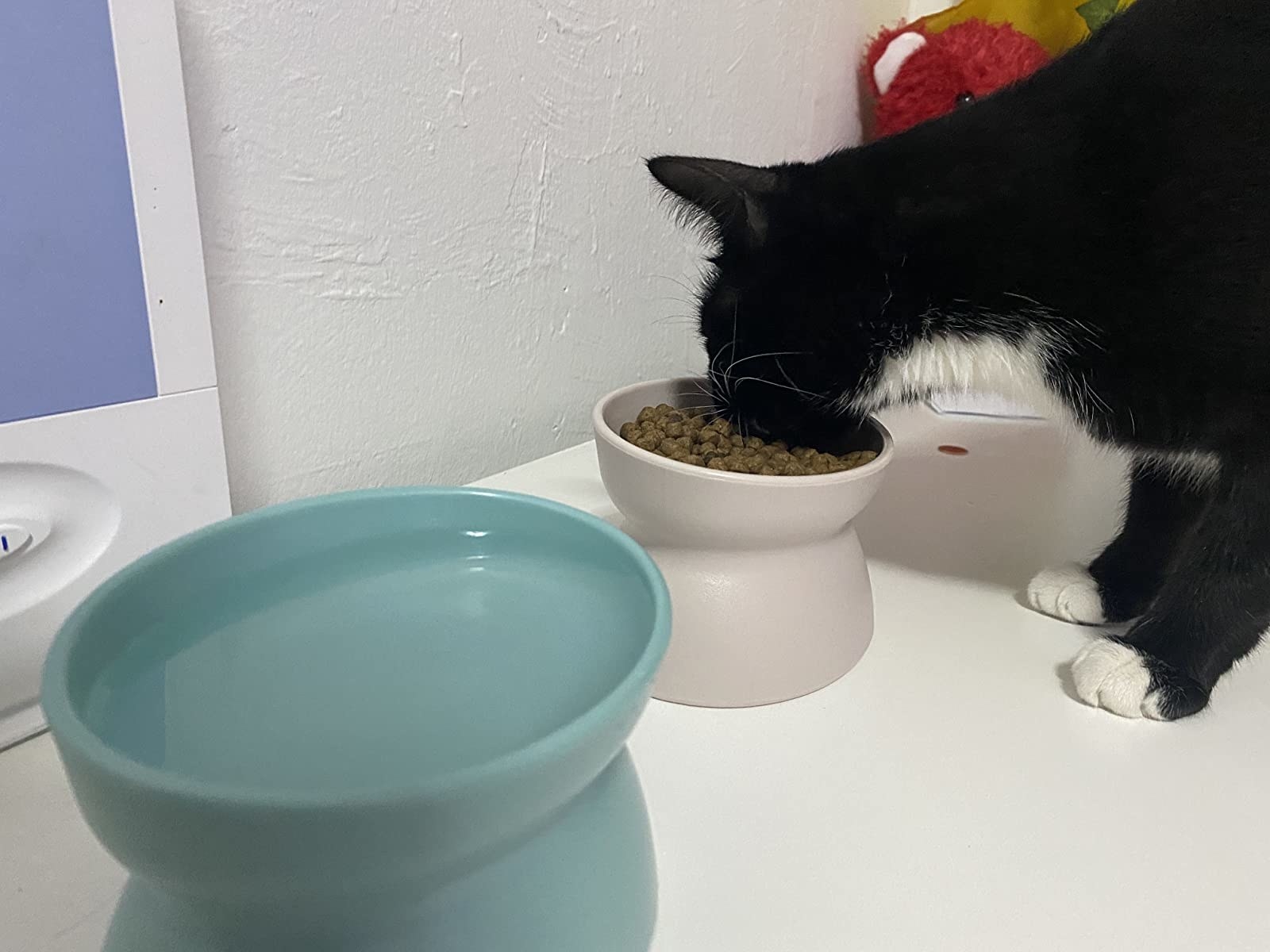 a reviewer&#x27;s cat eating from the raised bowl
