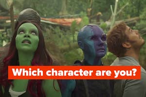 Characters from "Guardians of the Galaxy" are all looking up labeled, "Which character are you?"
