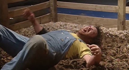 Man in overalls grimacing in a muddy pigpen.