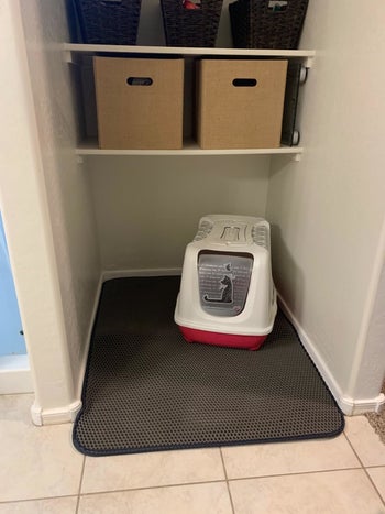 the black mat under a reviewer's cat box