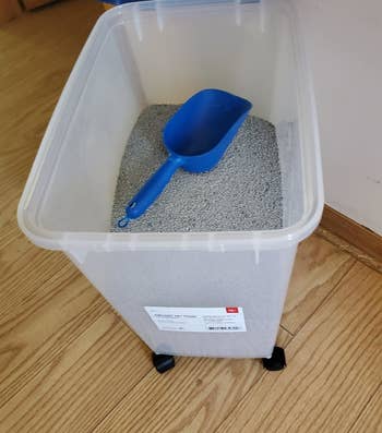 a reviewer's container full of cat litter