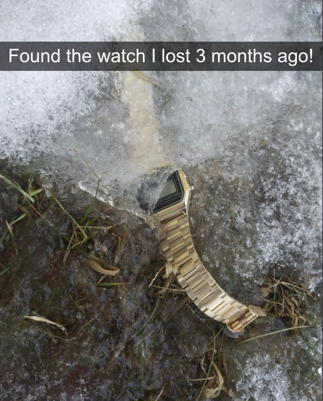 person who found watch in the snow