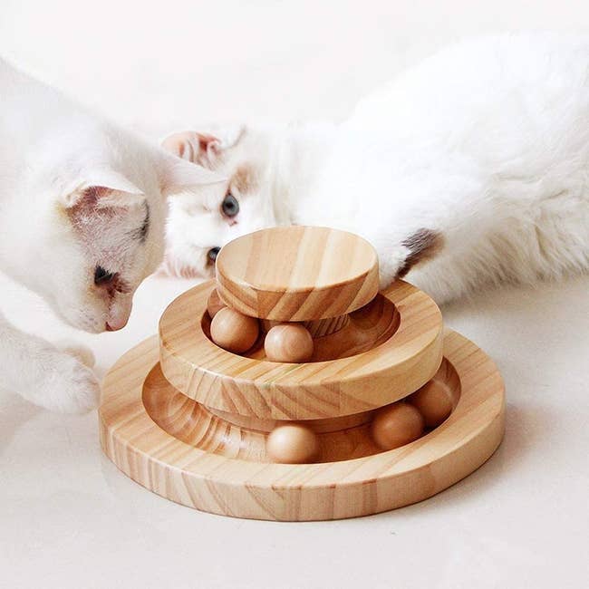Two cats playing with three-tiered circular toy with wooden balls rolling on each level 
