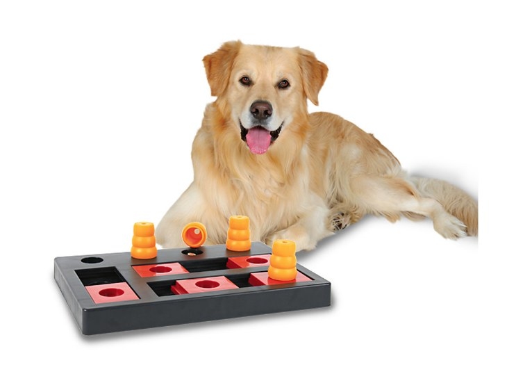 A chess game dog toy. 