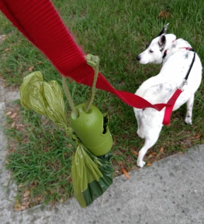 A reviewer walking their dog with the poop bags