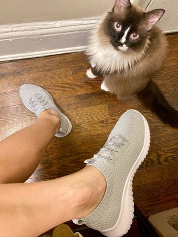 reviewer wearing same sneakers while relaxing with kitty indoors