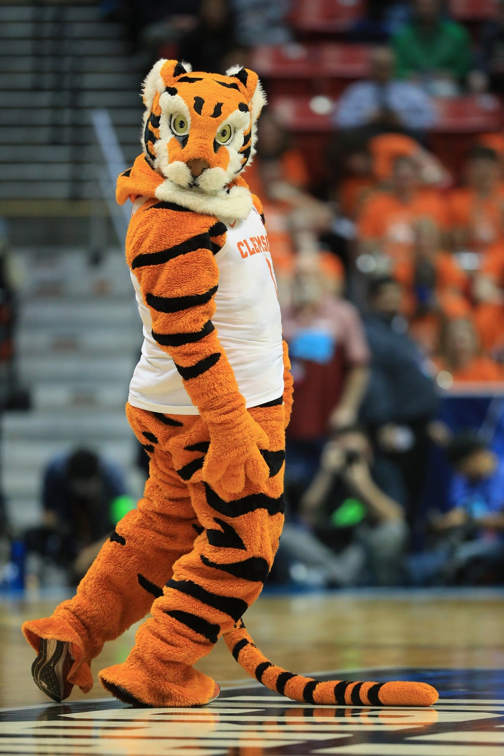 Ranking 2021 March Madness Mascots