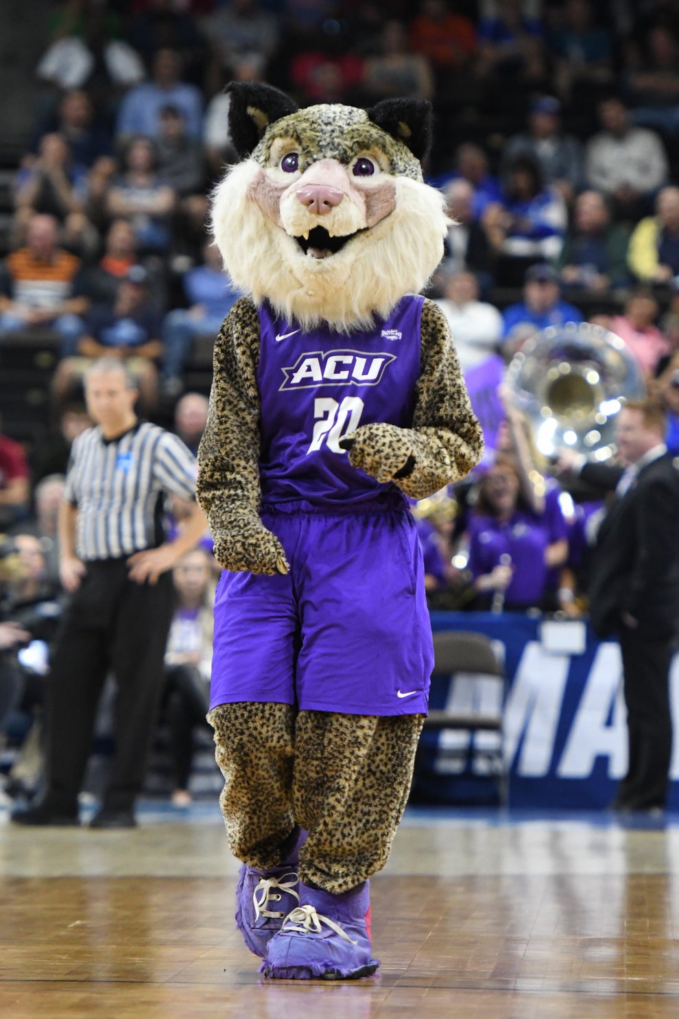 Ranking 2021 March Madness Mascots