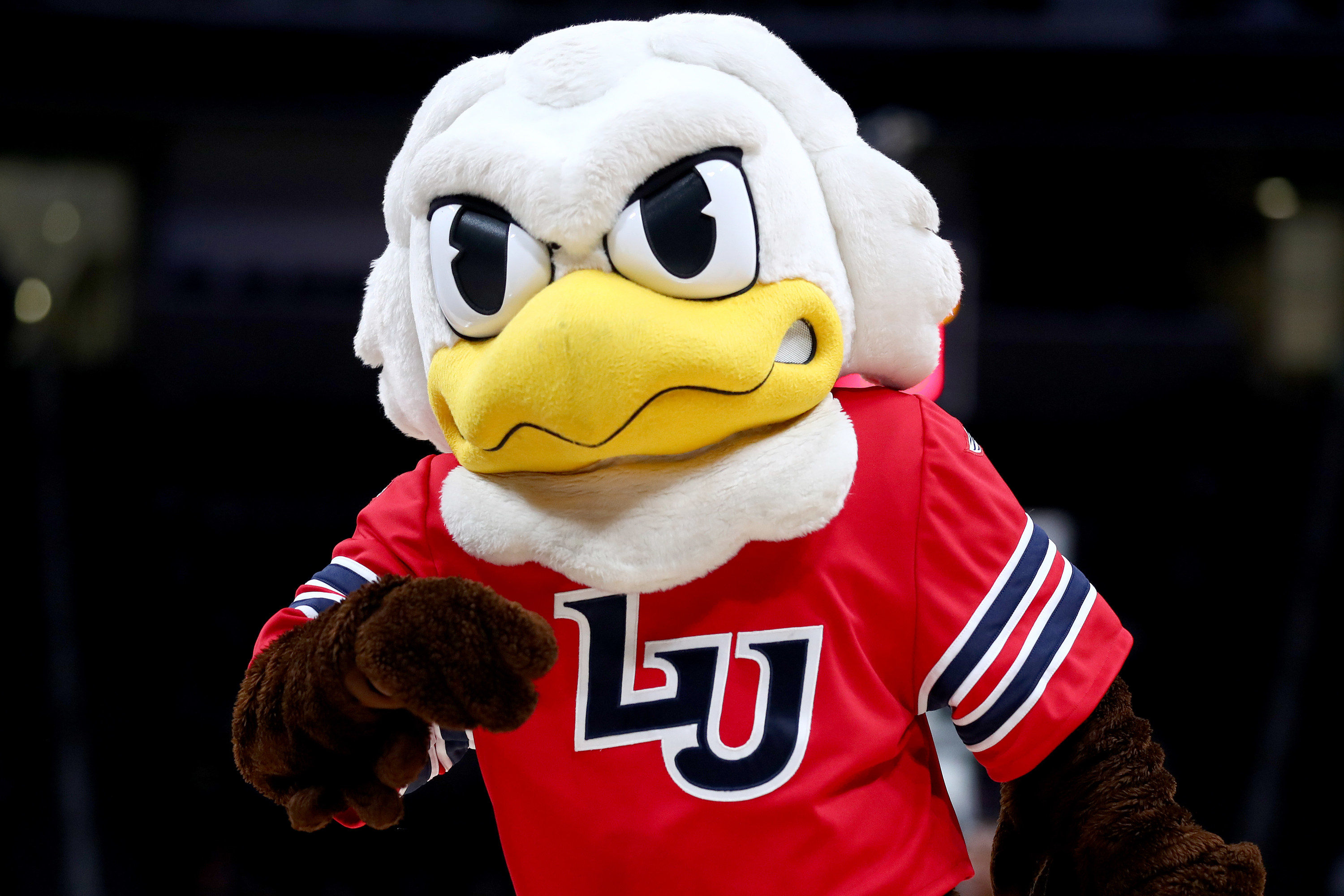 Liberty bald eagle mascot wearing a red &quot;LU&quot; jersey shirt.