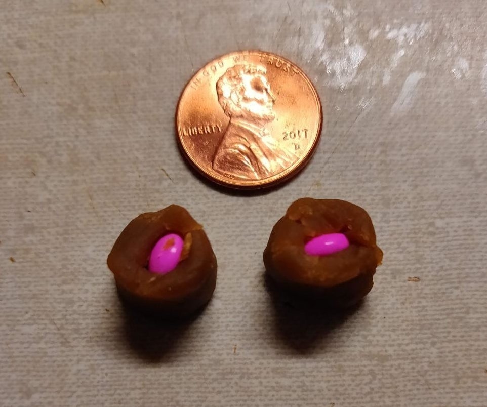 The pill pockets with pills inside, and a penny for scale—the penny is slightly larger than the circumference of the pill pockets