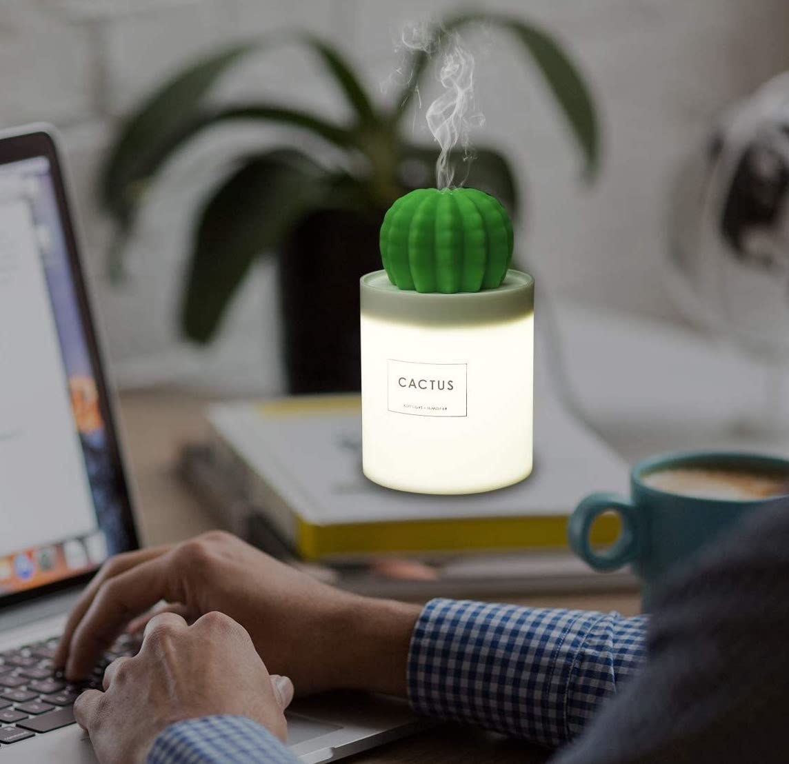Cactus-shaped humidifier placed on desk