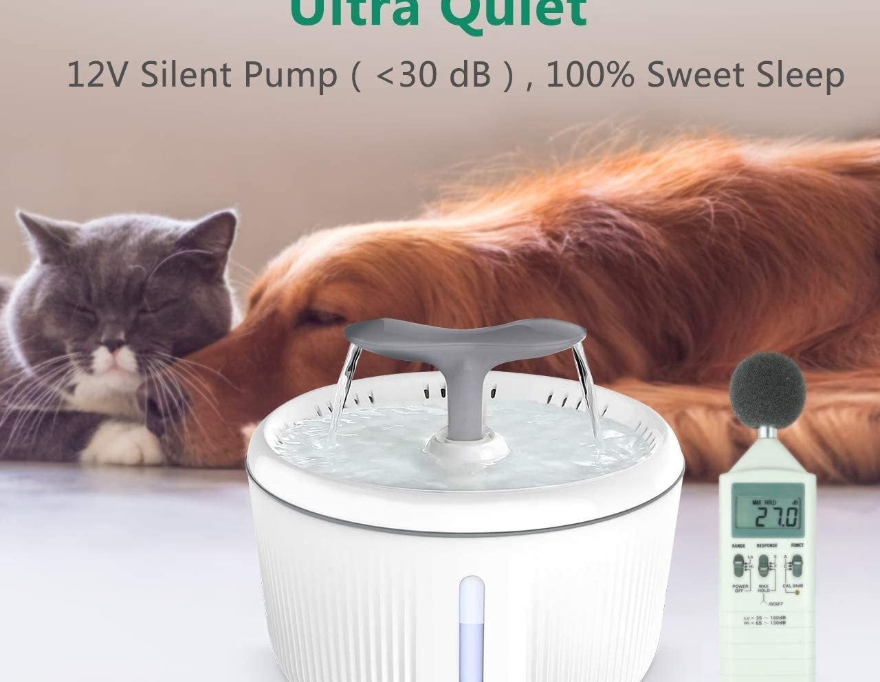 the water fountain in front of a sleeping cat and dog
