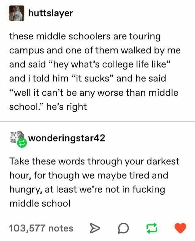 tumblr post about how much better college is than middle school