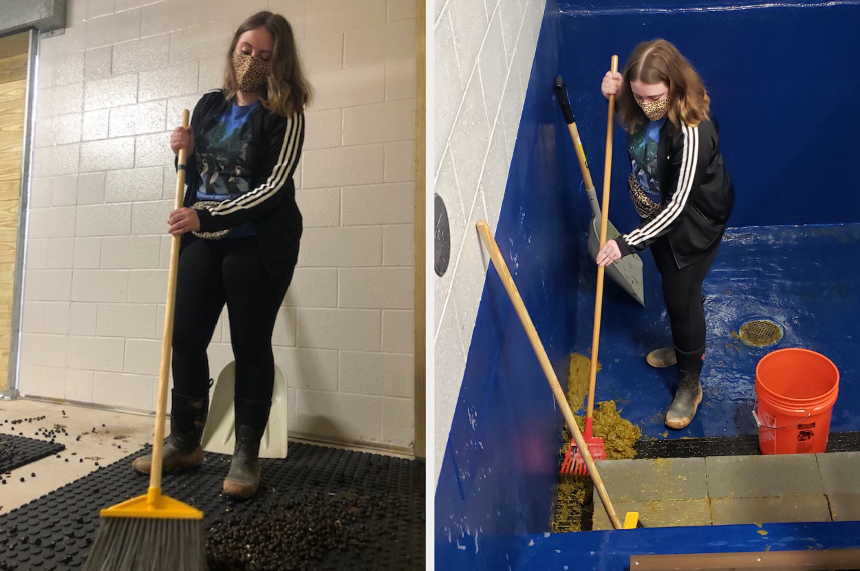 Two side by sides of a woman cleaning animal poop up