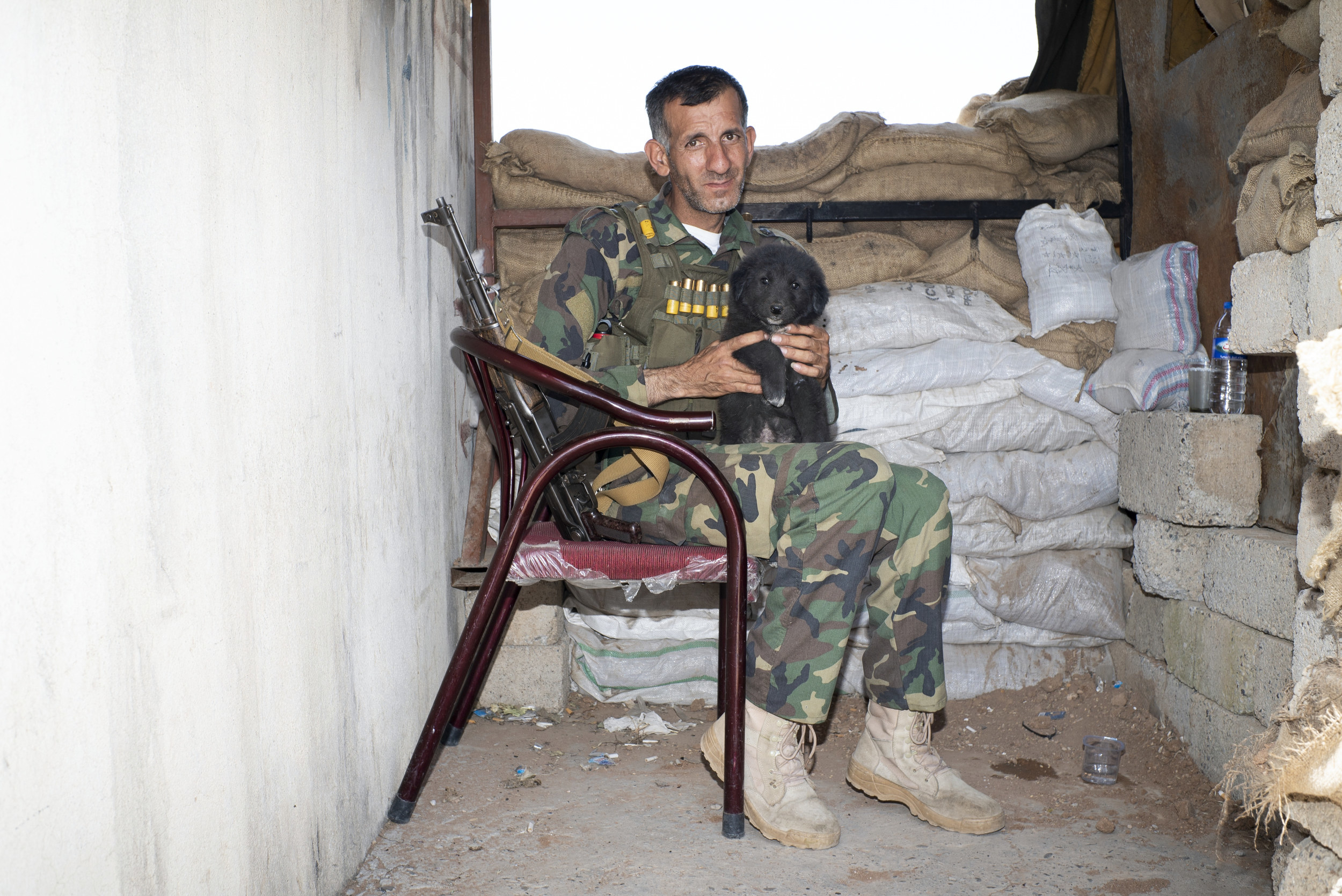 A man in fatigues holds a puppy on a chair with a gun