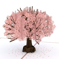 A cherry blossom tree pop-up card
