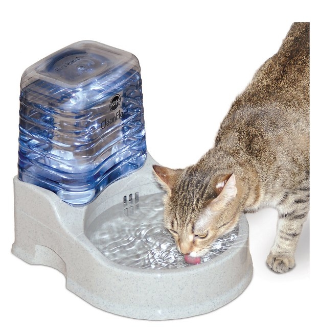 cat drinking out of reservoir pet water bowl with a filtration system