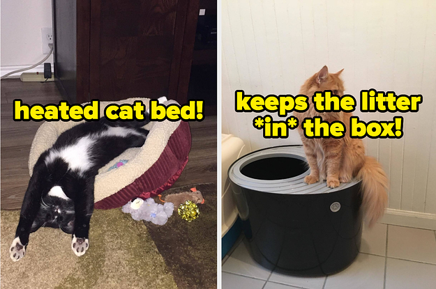 L: Cat lying on its back on a heated cat bed R: Cat sitting on top of top-entry litter box