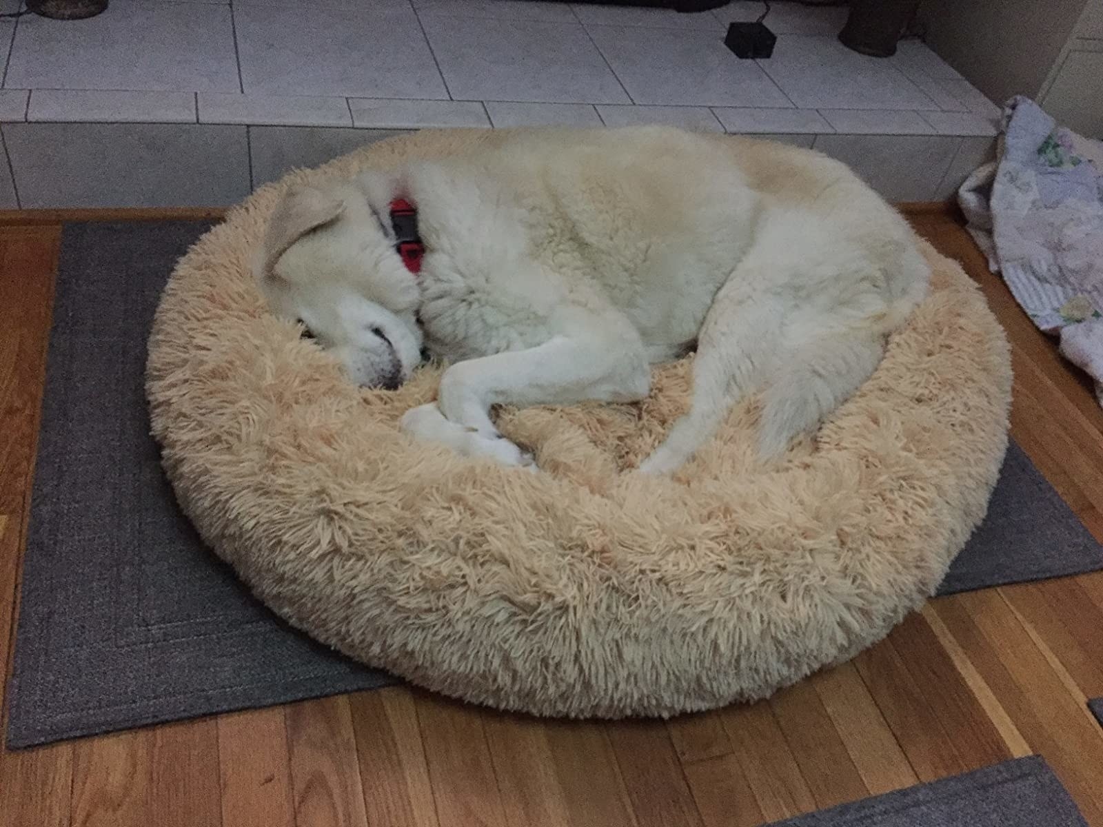The bed, which is fluffy, round, and made of faux fur